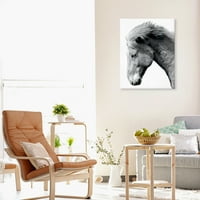 Portretni pogled Irene Tackecki konjski foto platno umjetnost