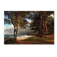 Zaštitni znak likovna umjetnost Hawaii 3 Canvas Art by Jason Shaffer, White Matte, Wood Frame