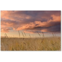 Zaštitni znak mumbo jumbo Izlazak sunca na travi na Plaži ulje na platnu, fotografija Michaela Blanchetta
