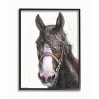 Stupell Industries Veliki konjani glava životinja akvarel za akvarel uokvirenu Giclee teksturiziranu umjetnost George