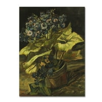 Zaštitni znak likovna umjetnost 'cineraria' platno umjetnost Van Gogh