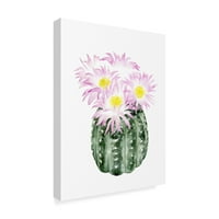 Zaštitni znak likovna umjetnost 'kaktus cvjeta i' platno art by Grace Popp