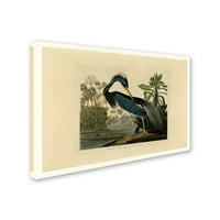 Zaštitni znak likovna umjetnost 'Louisiana Heron' platno umjetnost Johna Jamesa Audobona