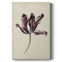 Antikni tulipanski studij IV Premium galerija zamotano platno - spreman za objesiti