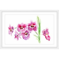 MARMONT HILL - Obitelj orhideja Michelle Dujardin uokviren slikarskom tisku
