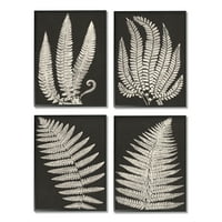 Stupell Vintage Nature Fern Leaf Silhouettes Botanički i cvjetni slika