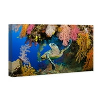 Wynwood Studio Nautical and Coastal Wall Art Canvas Otisci 'Hawksbill Turtle Fidži David Fleetham' Marine Life -