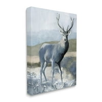 Woodland Divlje životinje jelene Portret životinje i insekti grafička umjetnička galerija omotana platna za tisak