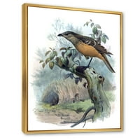DesignArt 'Paradise ptice na grani drveća' Tradicionalno uokvireno platno zidne umjetničke ispis