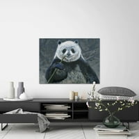 Panda s tiskom za slikanje bambusa na omotanom platnu