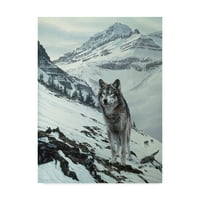 Zaštitni znak likovne umjetnosti 'Zimski prijelaz vuk' platna Art by Ron Parker