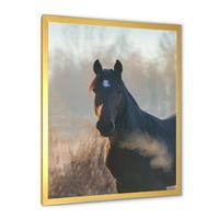 DesignArt 'Izbliza portret konja na jesensko jutro' Farmhouse uokvireni umjetnički tisak