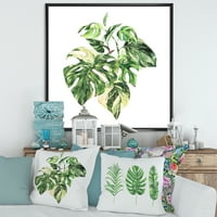 DesignArt 'Tropska zelena lišća na bijeloj boji u ljetnim vremenima I' tropska uokvirena platna zidna umjetnička