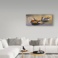 Zaštitni znak likovna umjetnost 'Mandarin Ducks' platno umjetnost Wilhelma Goebela