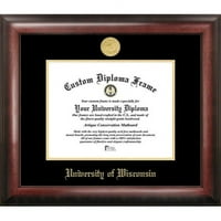 University of Wisconsin - Stevens točka 8 10 zlatno utisnuti diplomski okvir
