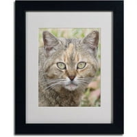 Zaštitni znak likovna umjetnost Pretty Kitty Matted Framed Art by Patty Tuggle, crni okvir