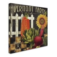 Zaštitni znak likovna umjetnost Vermont Farms viii Canvas Art by Color Bakery