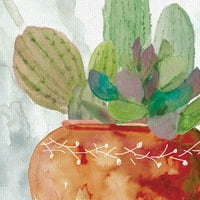 Terracotta Cactus & Solulent by Carol Robinson zamotana platna umjetnički set
