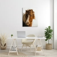 Studell Industries Long Mane Horse Konjički portret smeđa životinja fotografija, 40, dizajn Danita Delimont