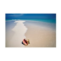 Dennis Frates 'Beach Treasures 6' platno umjetnost